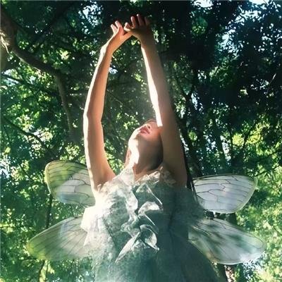 欢迎回家，罗斯科·杰金斯